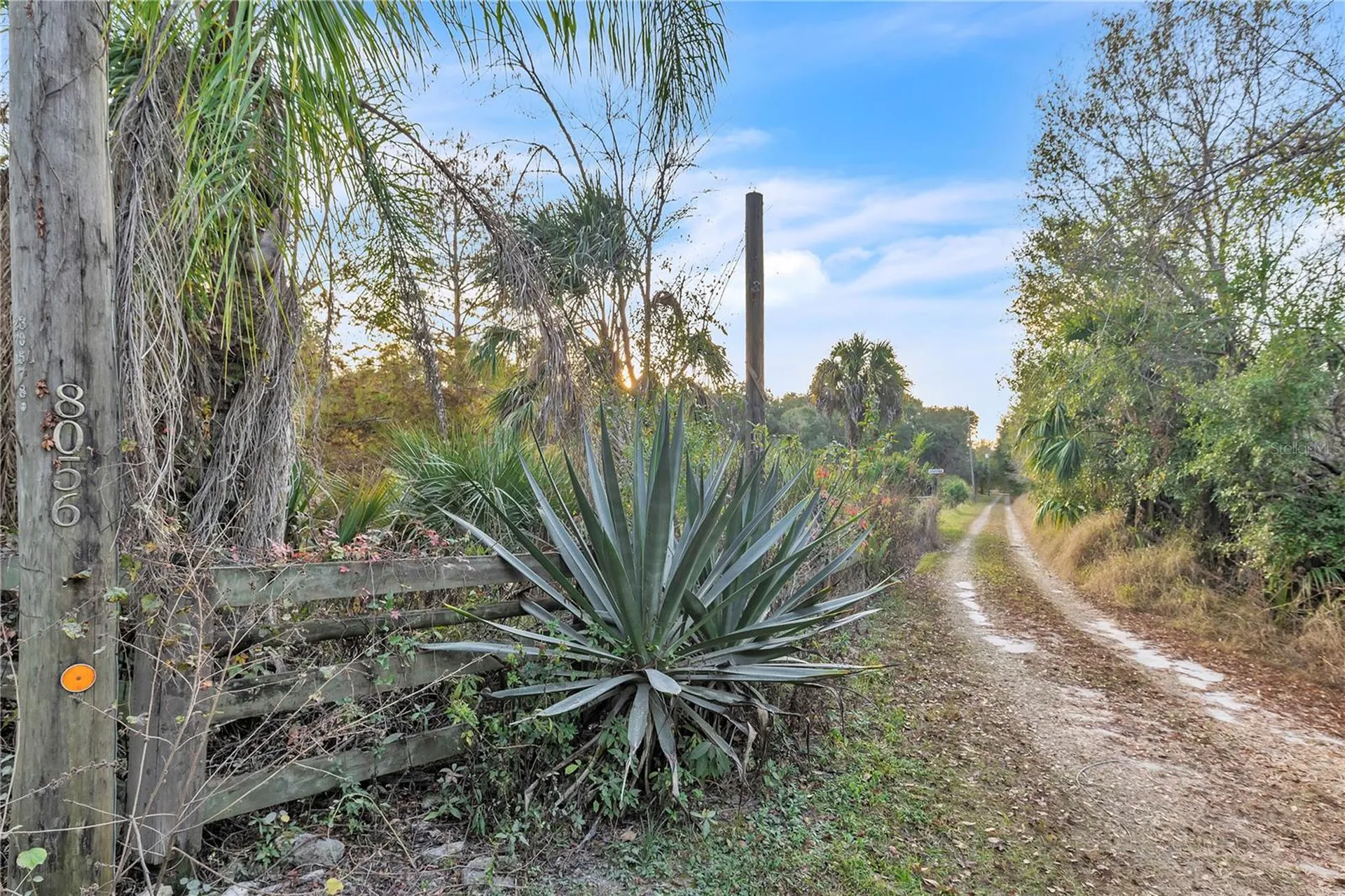 8056 SW Horse Creek Road Arcadia FL 34266
