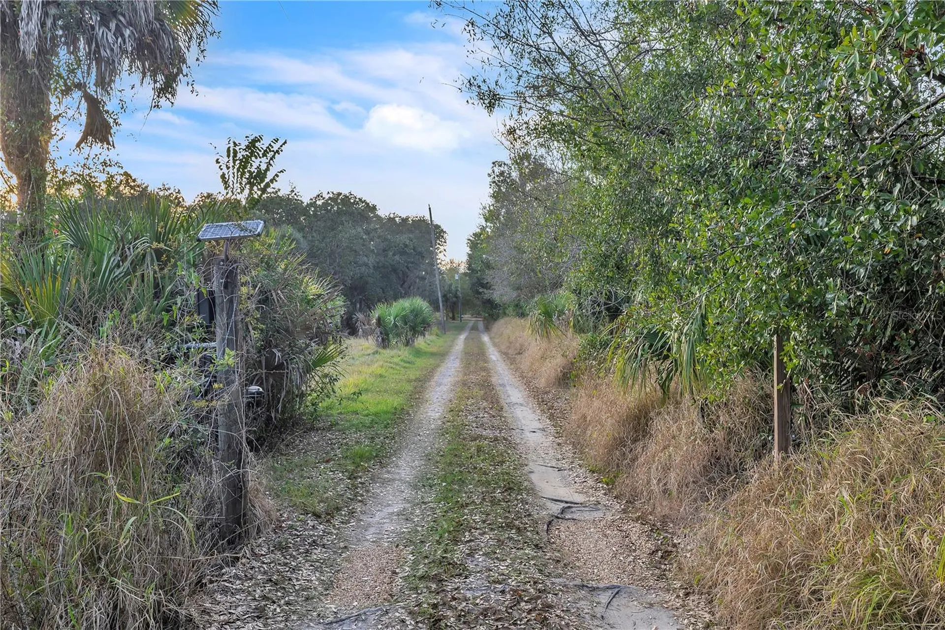 8056 SW Horse Creek Road Arcadia FL 34266
