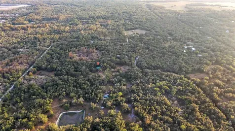 8056 SW Horse Creek Road Arcadia FL 34266