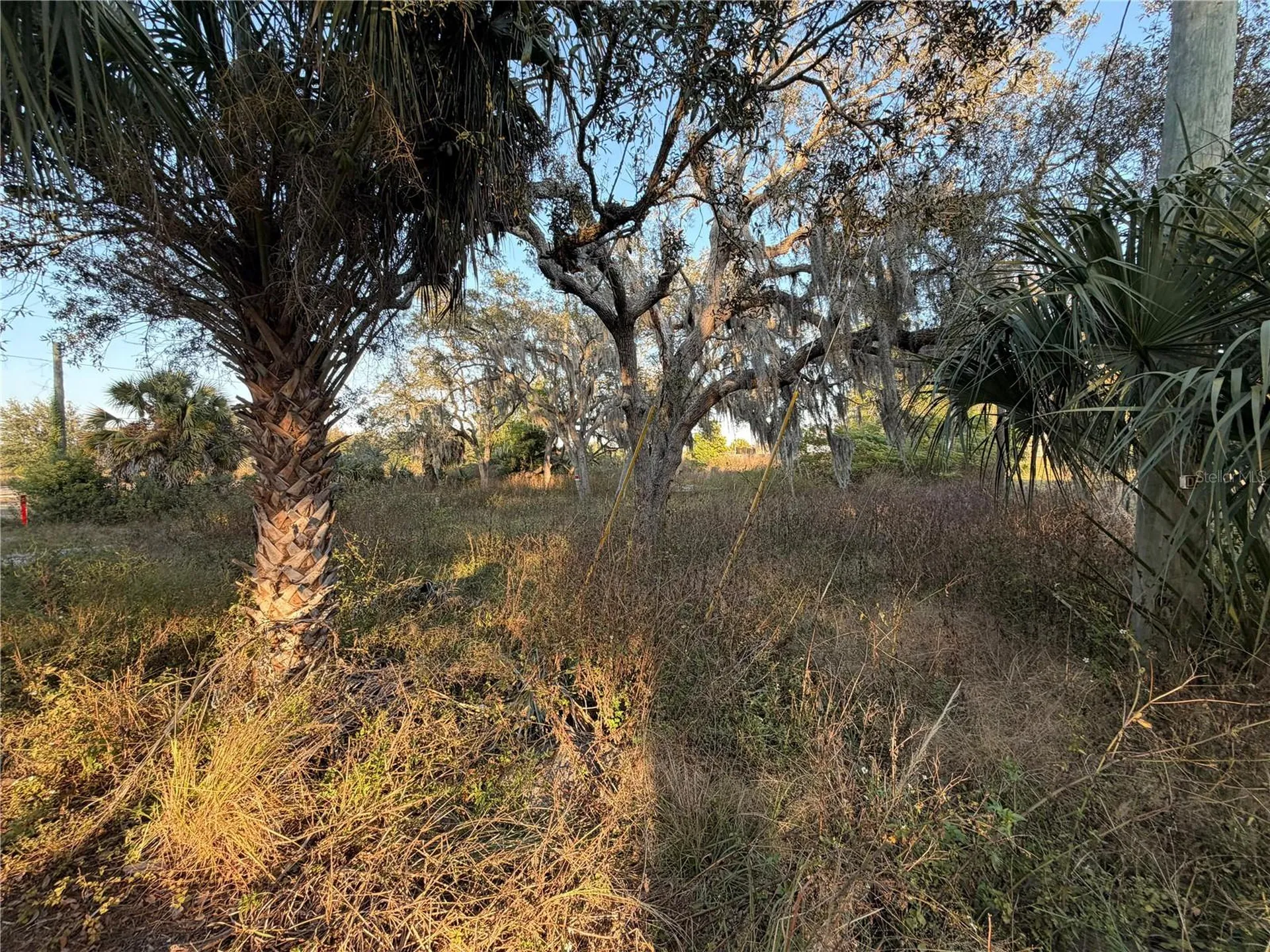 13934 Litewood Drive Hudson FL 34669