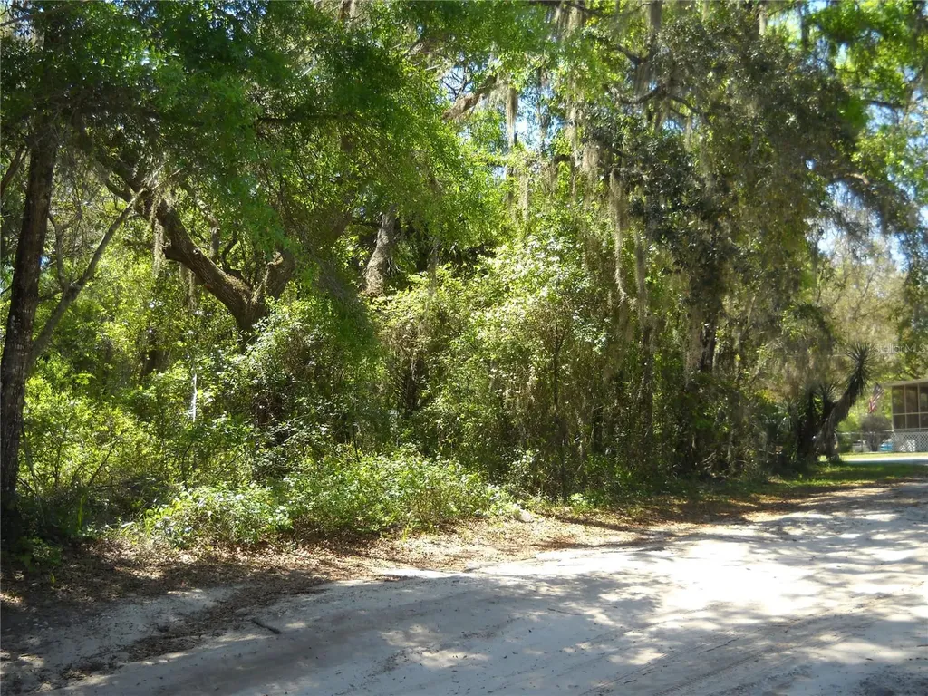 00 NE 161 Street Citra FL 32113