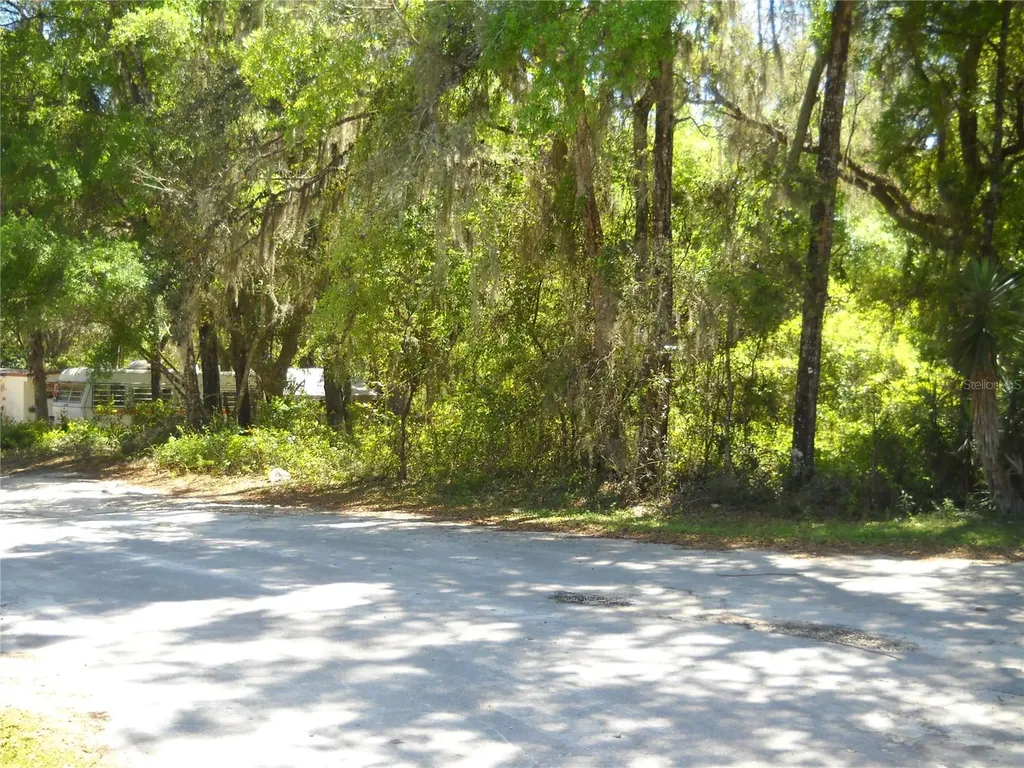 00 NE 161 Street Citra FL 32113