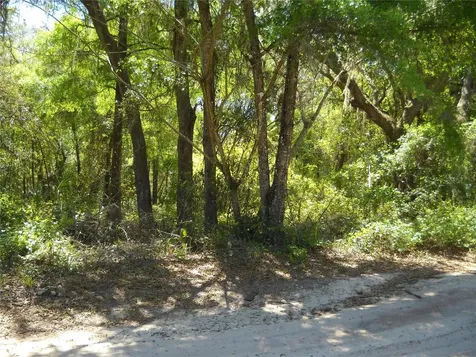 00 NE 161 Street Citra FL 32113