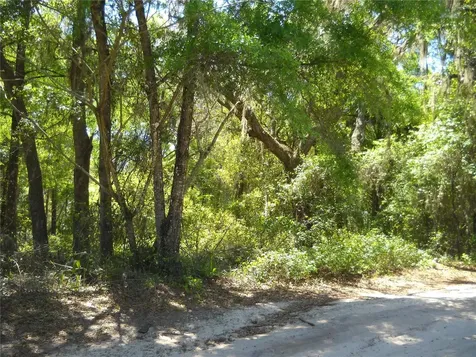 00 NE 161 Street Citra FL 32113
