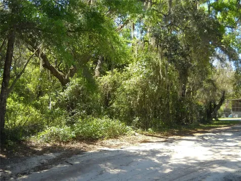 00 NE 161 Street Citra FL 32113