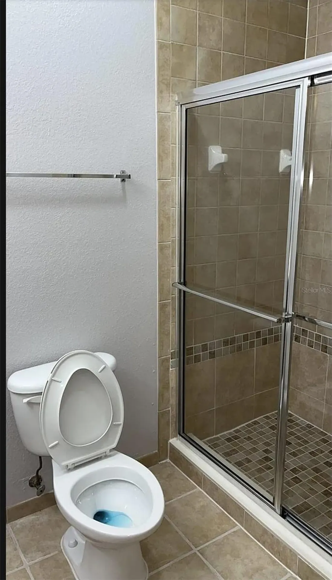 3175 Feltrim Place Kissimmee FL 34747