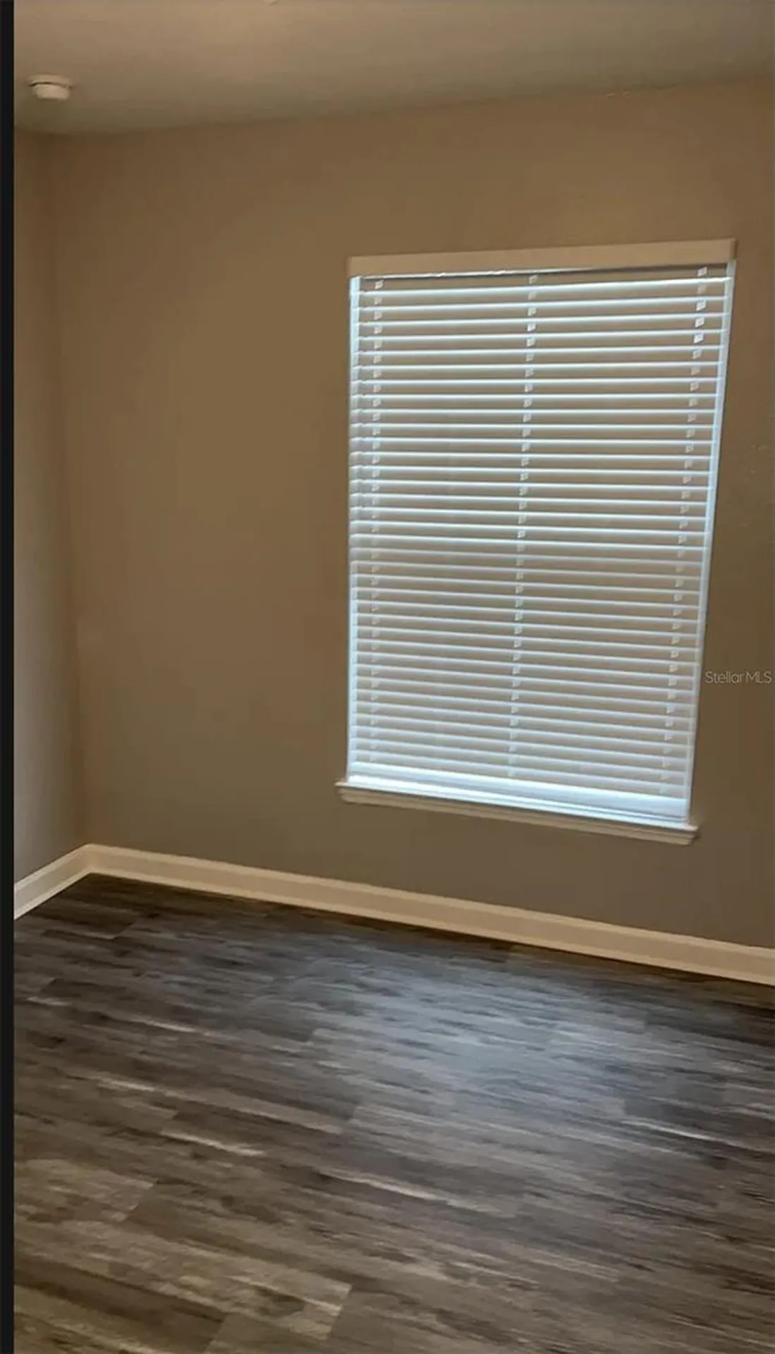 3175 Feltrim Place Kissimmee FL 34747
