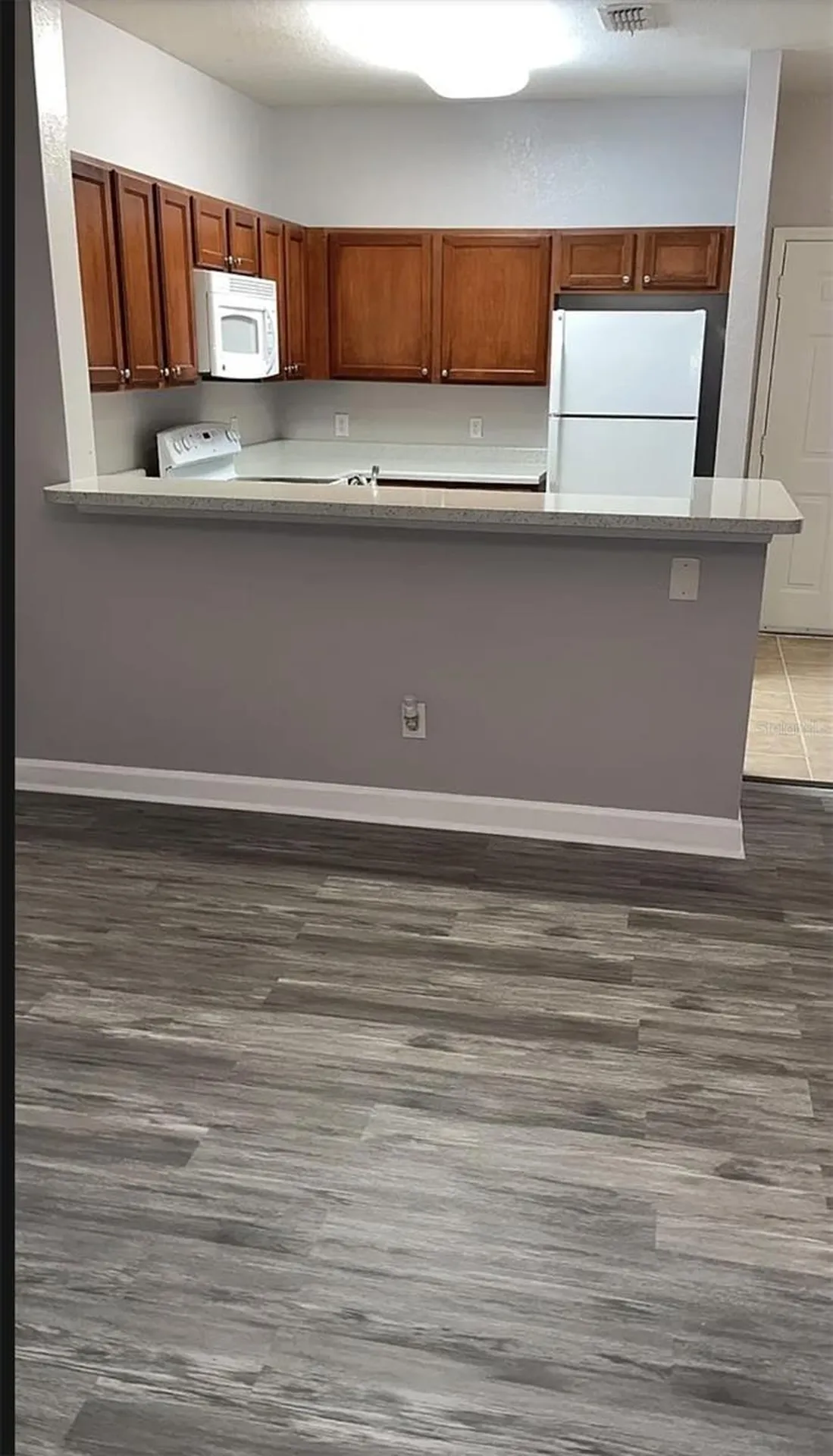 3175 Feltrim Place Kissimmee FL 34747