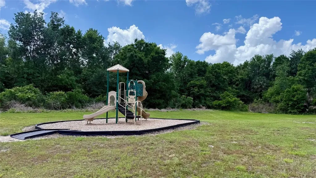 1256 Yellow Finch Drive Davenport FL 33837