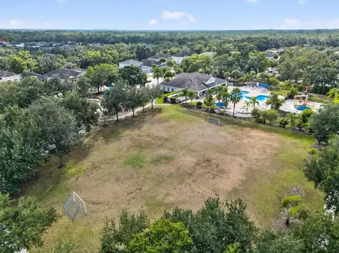 Lithia FL 33547