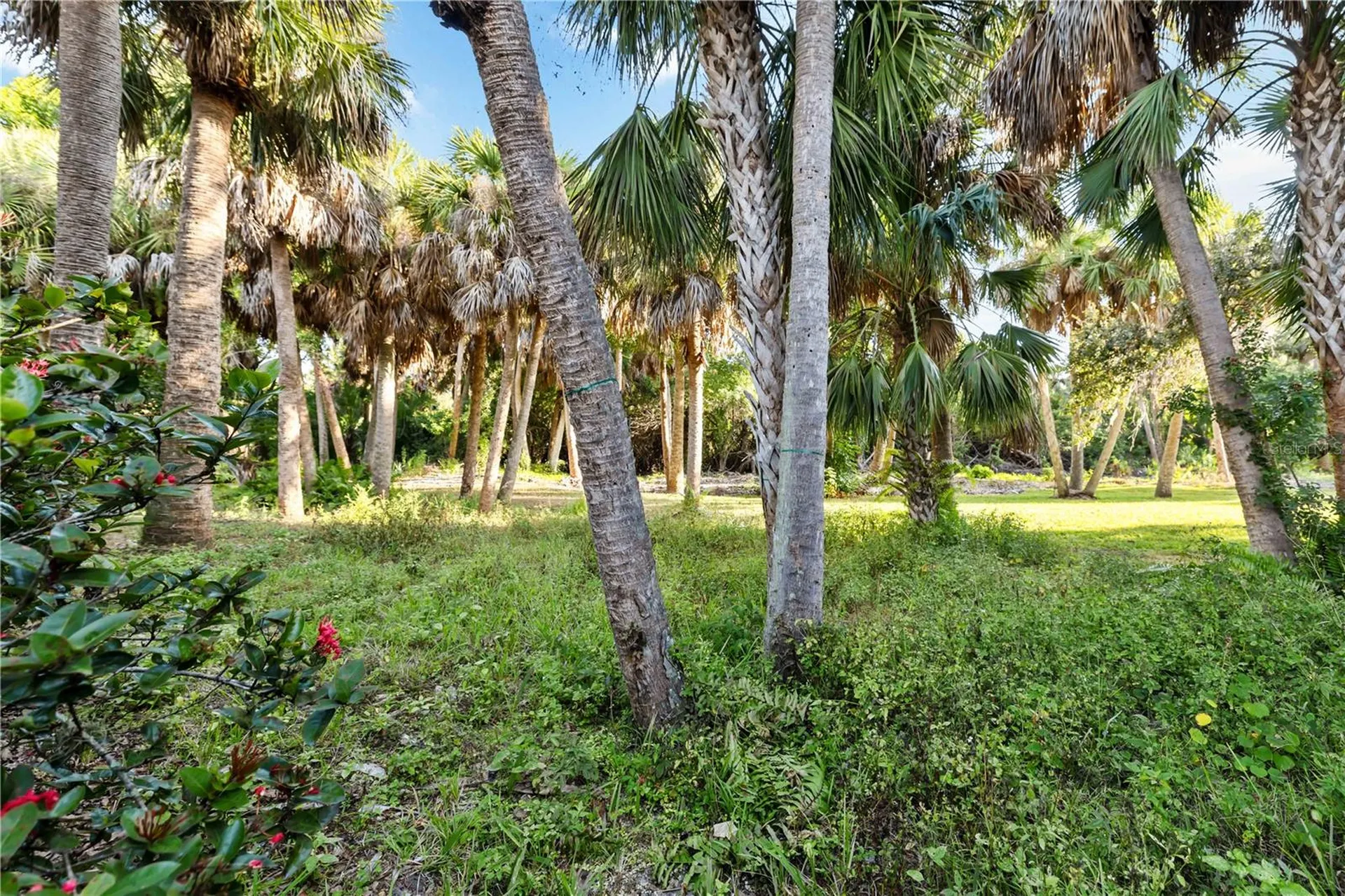 6719 Paseo Castille Sarasota FL 34238
