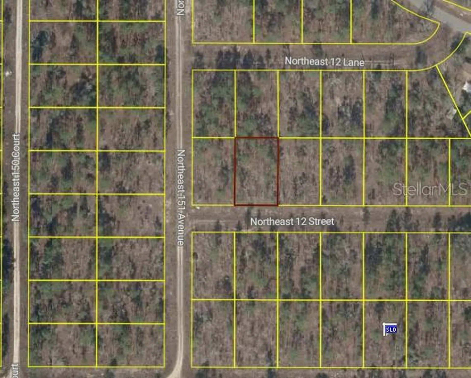 Tbd NE 12 Street Williston FL 32696
