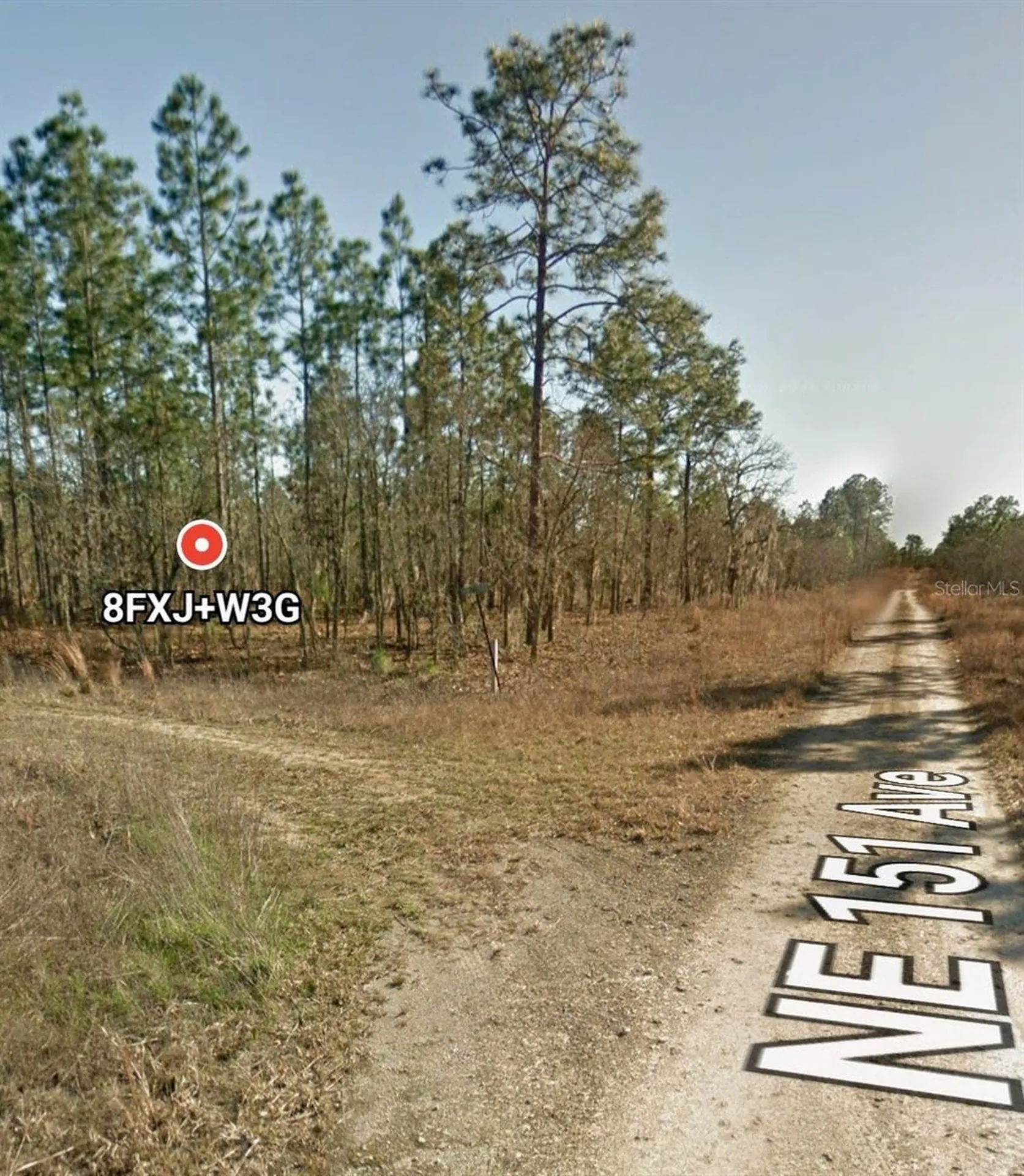 Tbd NE 12 Street Williston FL 32696