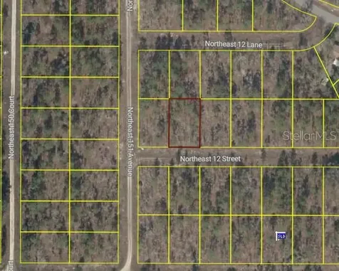 Tbd NE 12 Street Williston FL 32696