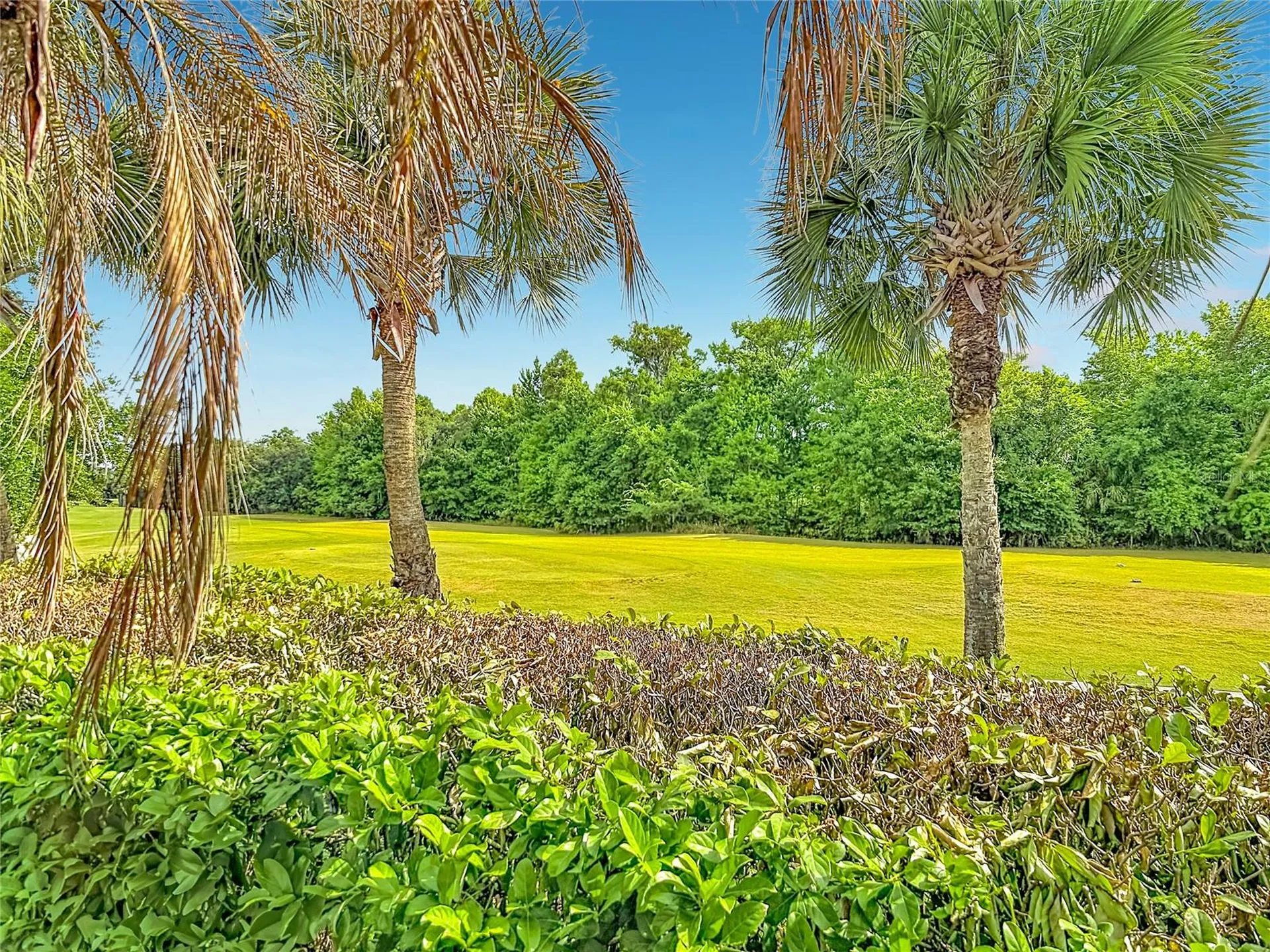 591 Highlands Hammock Drive Kissimmee FL 34759