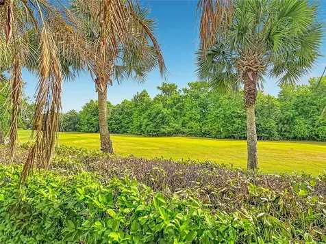 591 Highlands Hammock Drive Kissimmee FL 34759