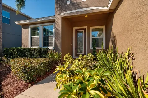 13607 Artesa Bell Drive Riverview FL 33579