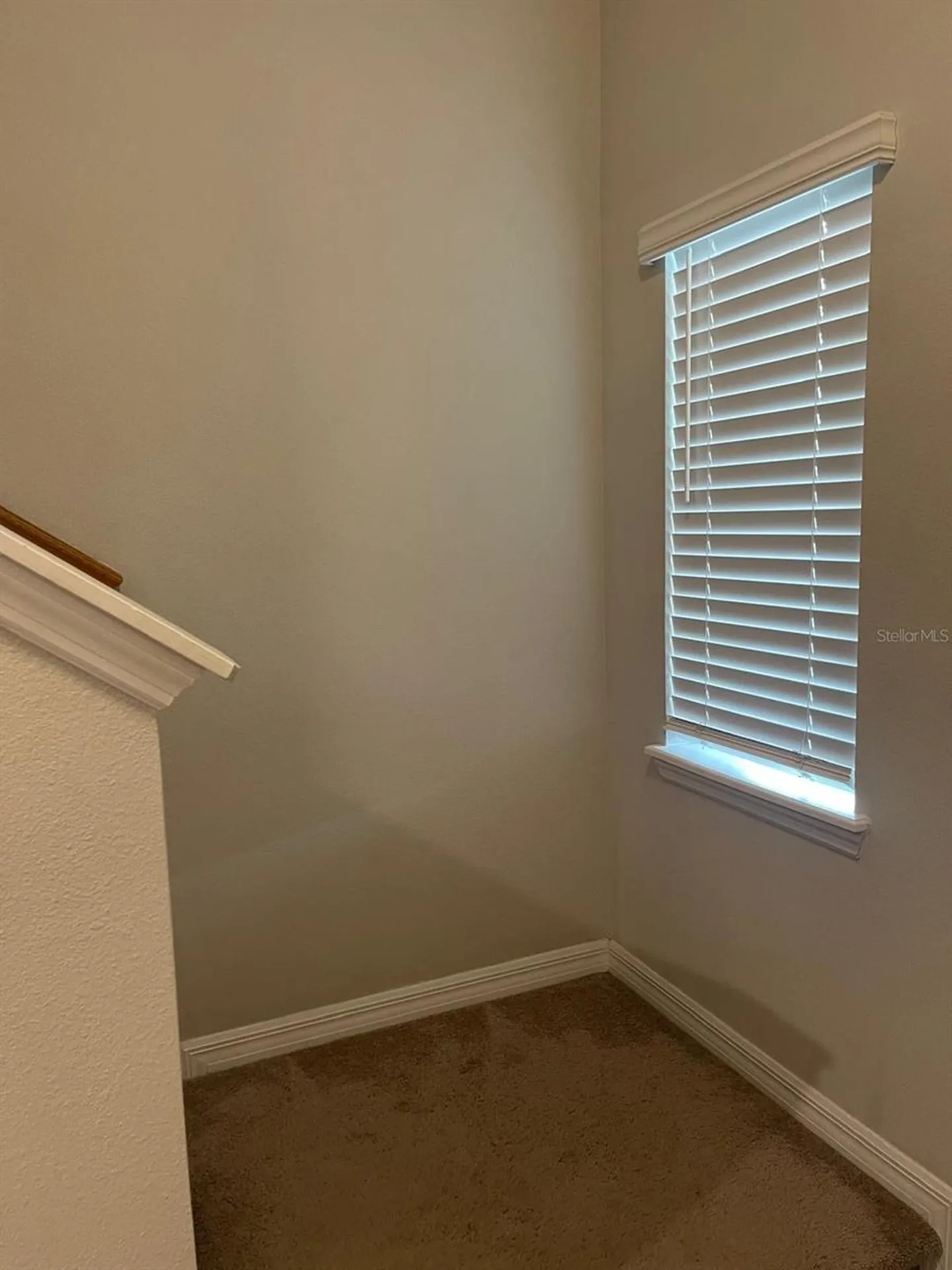 10731 Silk Tree Court Orlando FL 32824