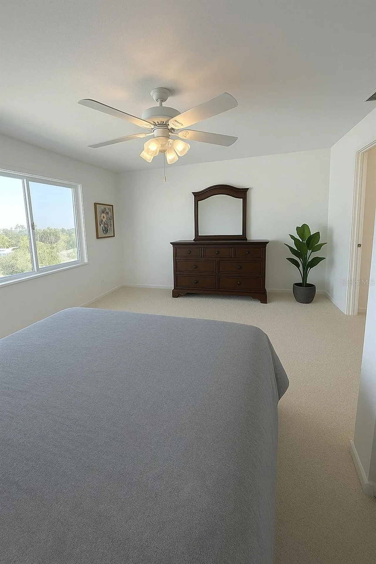 433 S Paula Drive Dunedin FL 34698