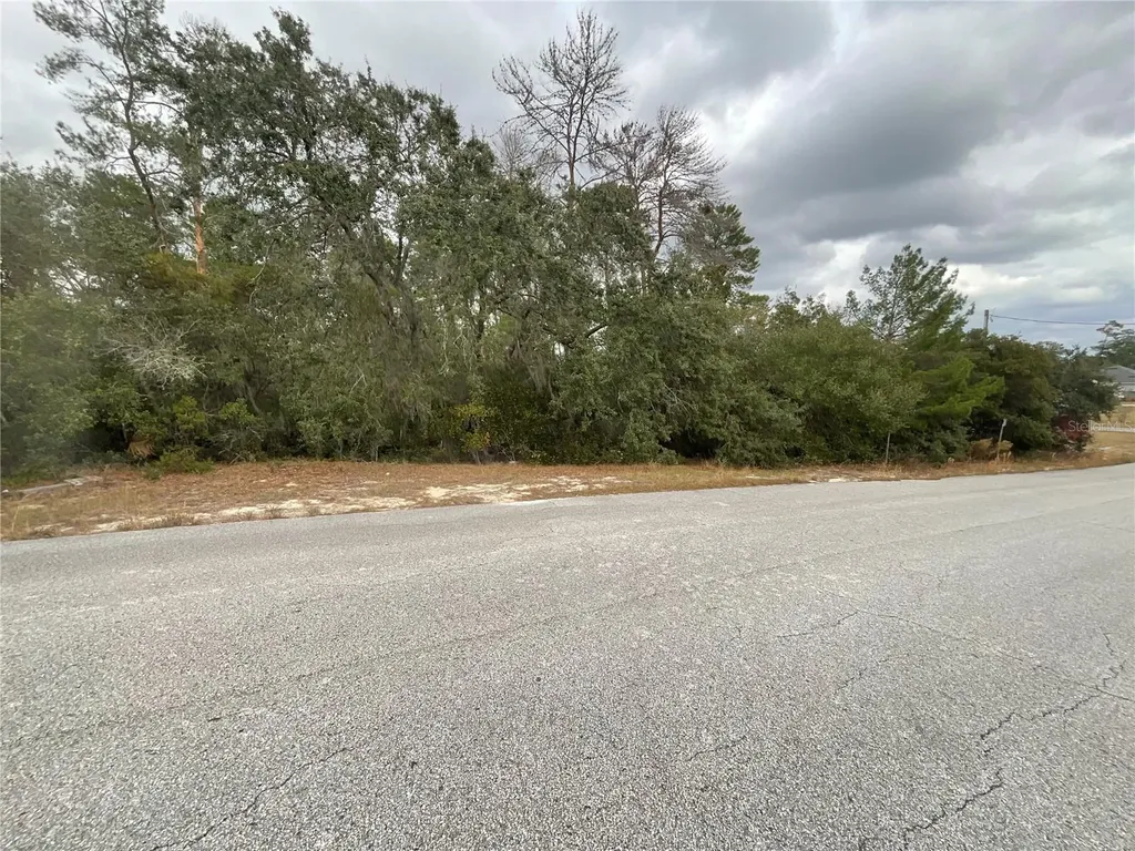 Tbd SW 111th Place Ocala FL 34476