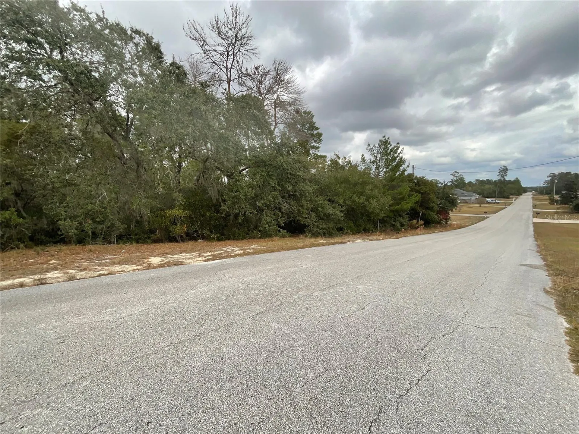 Tbd SW 111th Place Ocala FL 34476