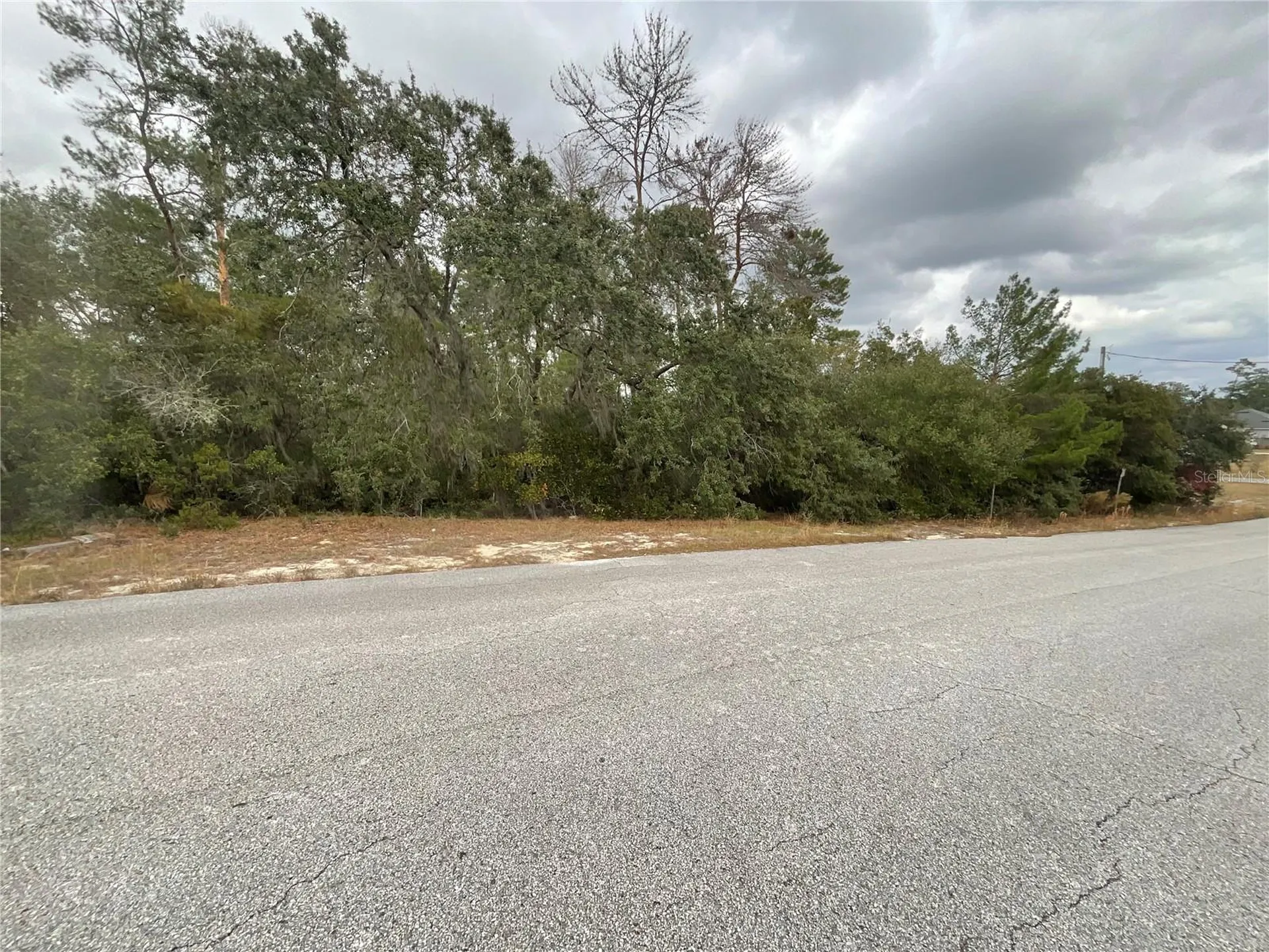 Tbd SW 111th Place Ocala FL 34476