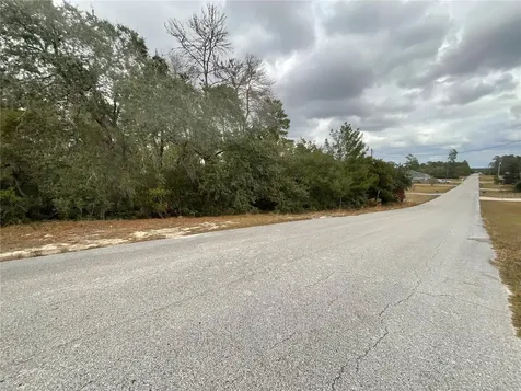 Tbd SW 111th Place Ocala FL 34476