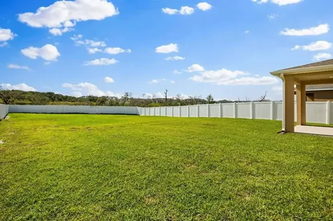 11163 Great Rock Street Winter Garden FL 34787