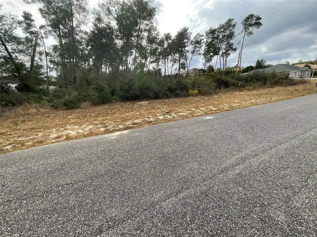 Tbd SW 110th Lane Ocala FL 34476