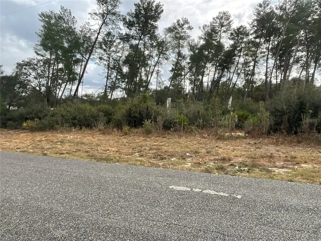 Tbd SW 110th Lane Ocala FL 34476