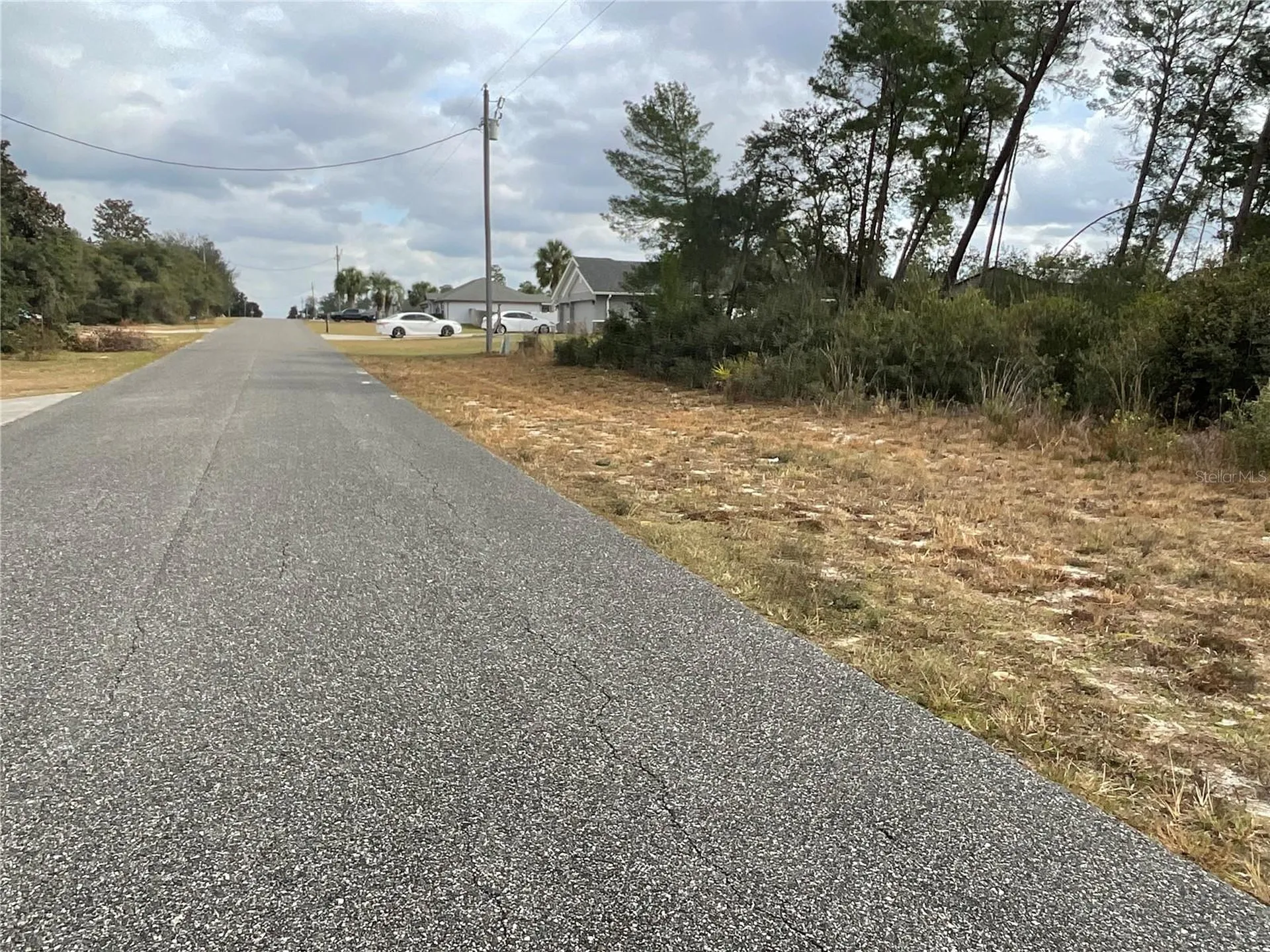 Tbd SW 110th Lane Ocala FL 34476