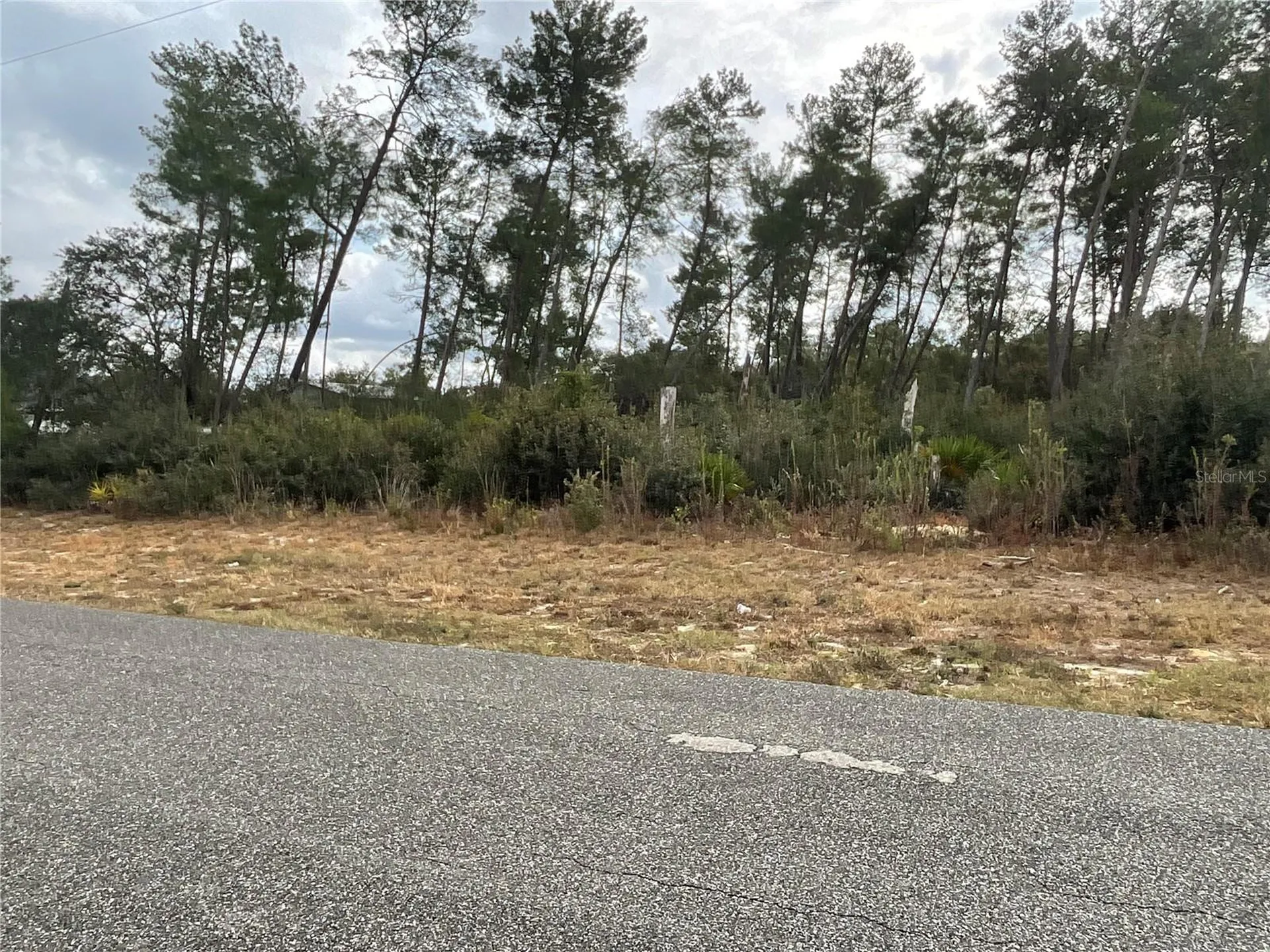 Tbd SW 110th Lane Ocala FL 34476