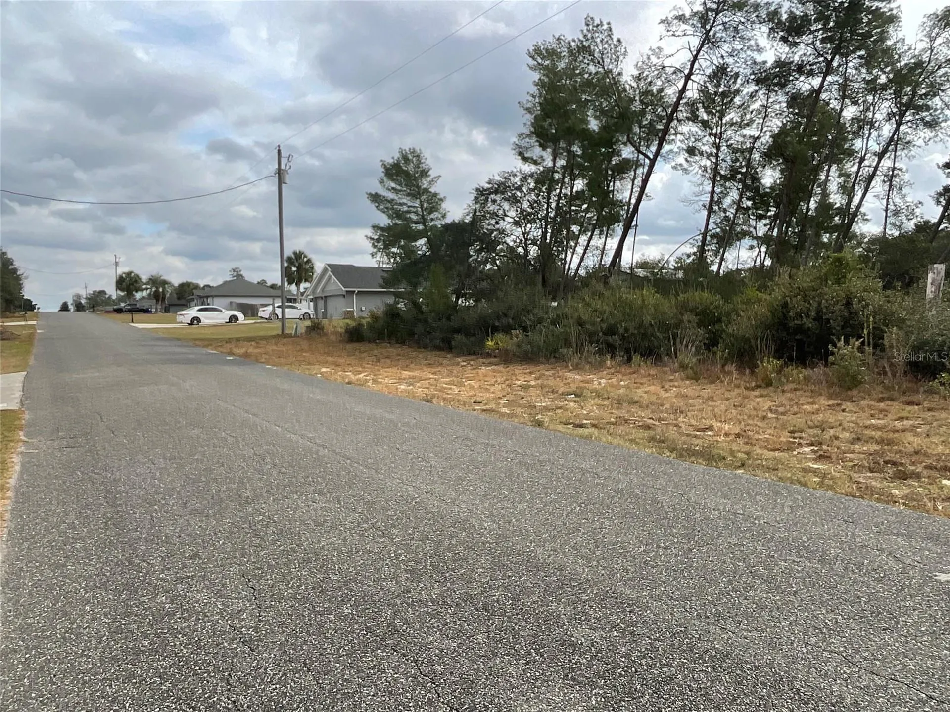 Tbd SW 110th Lane Ocala FL 34476