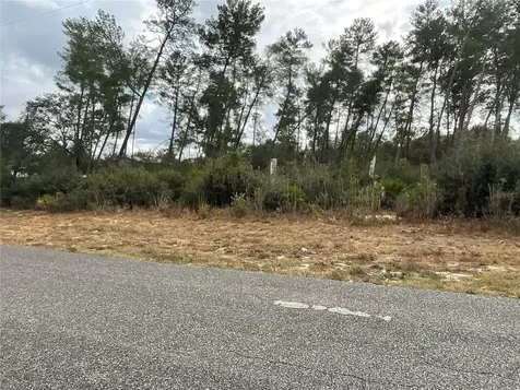 Tbd SW 110th Lane Ocala FL 34476