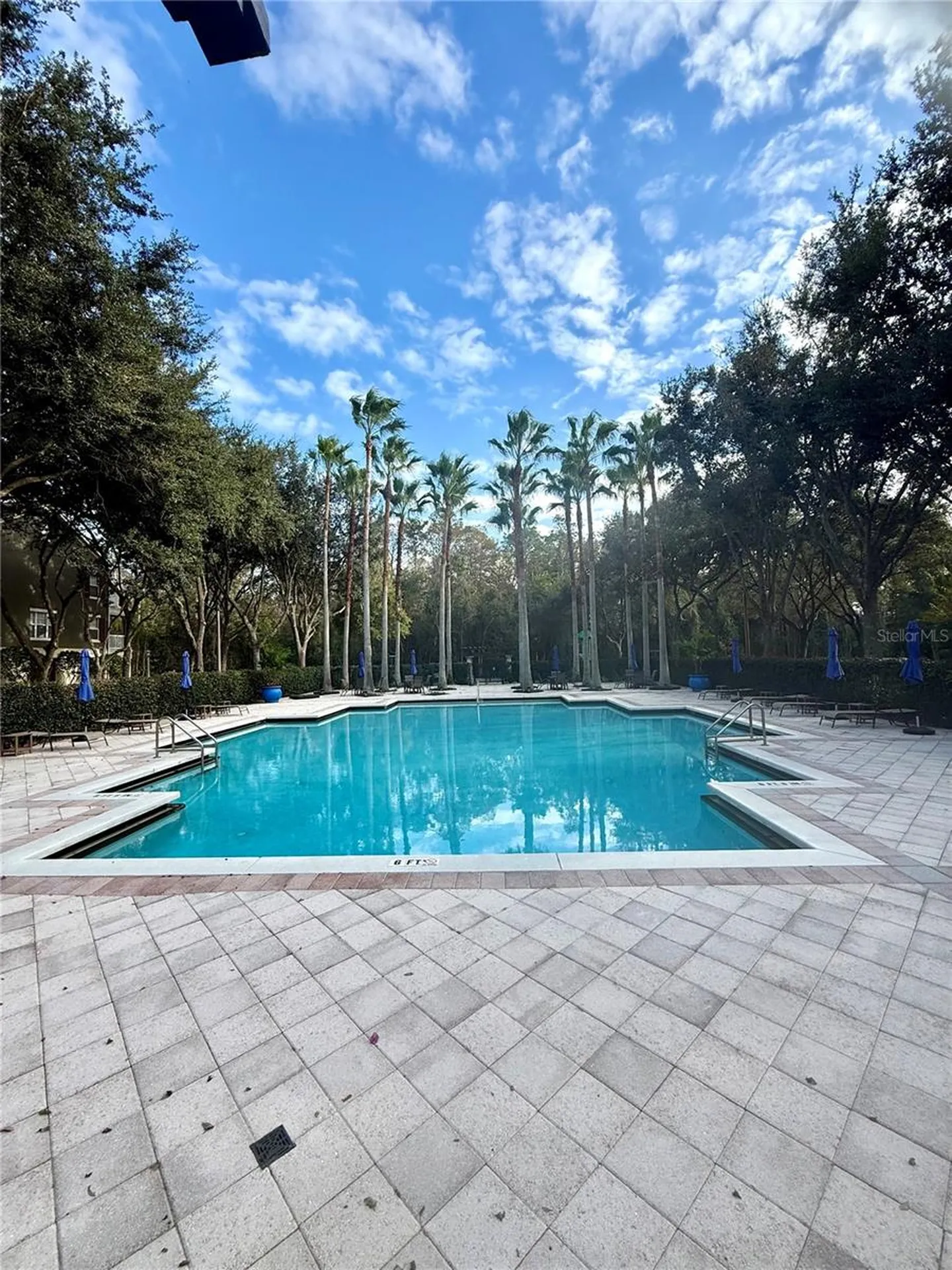 770 Siena Palm Drive Celebration FL 34747