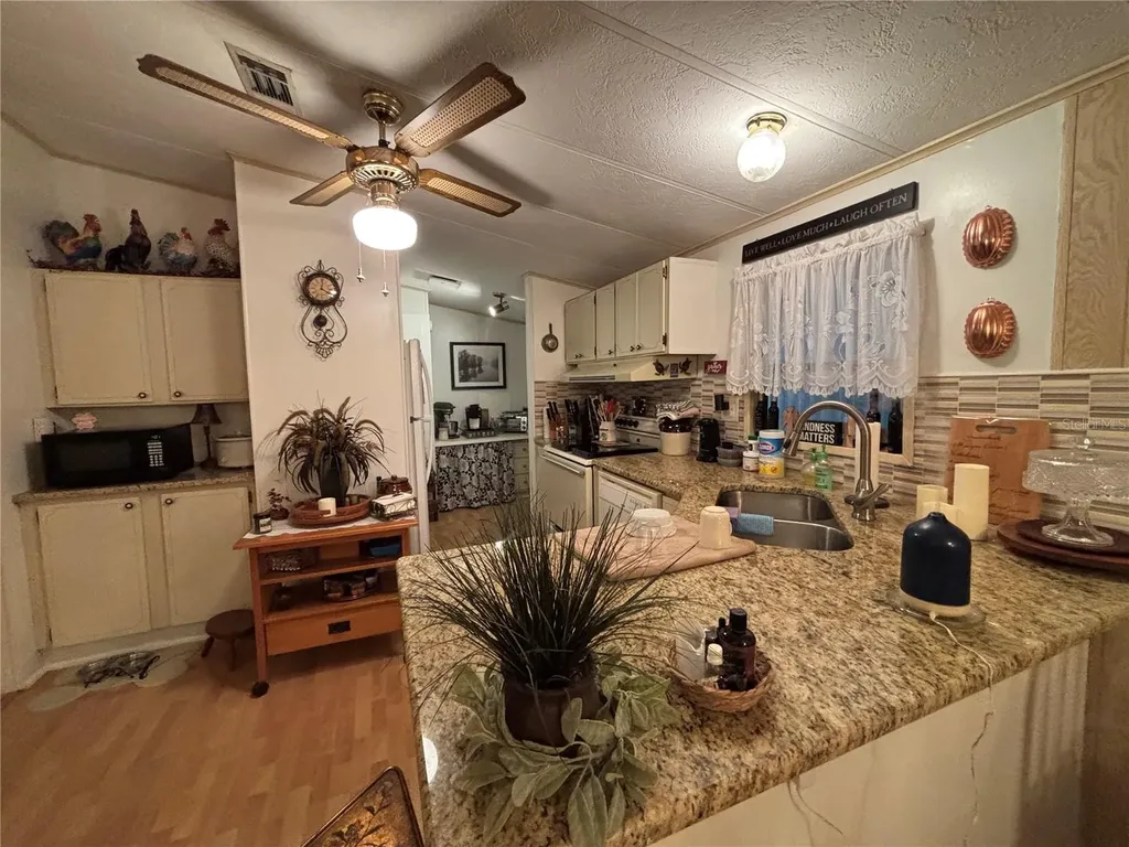 3833 Olax Court Zellwood FL 32798