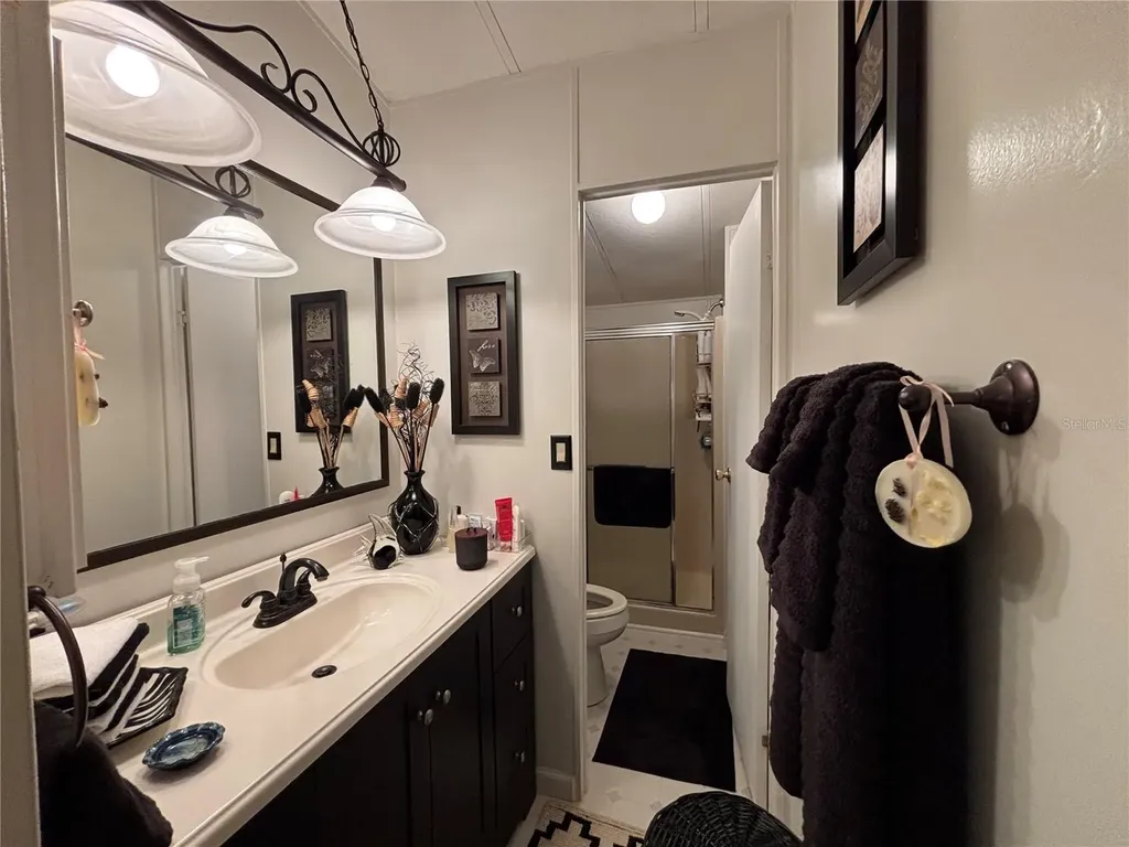 3833 Olax Court Zellwood FL 32798