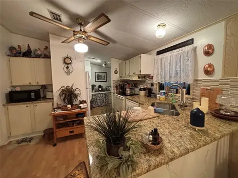 3833 Olax Court Zellwood FL 32798