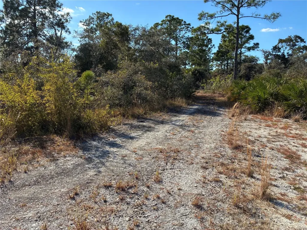 321 Showboat Avenue Lake Placid FL 33852