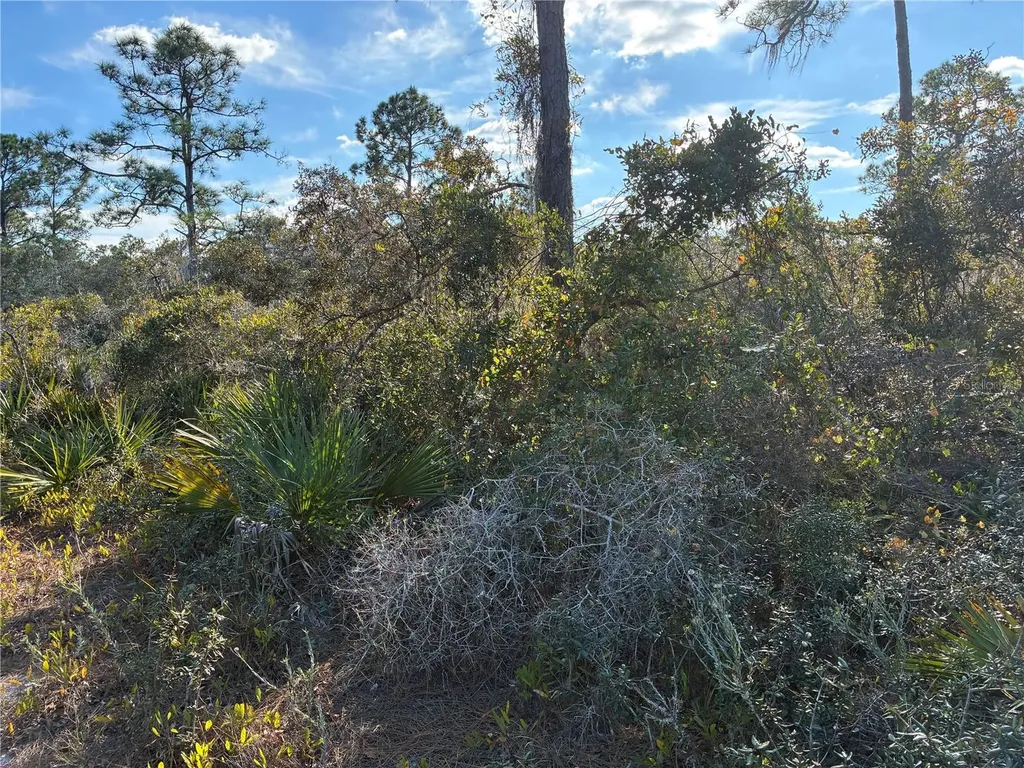 321 Showboat Avenue Lake Placid FL 33852