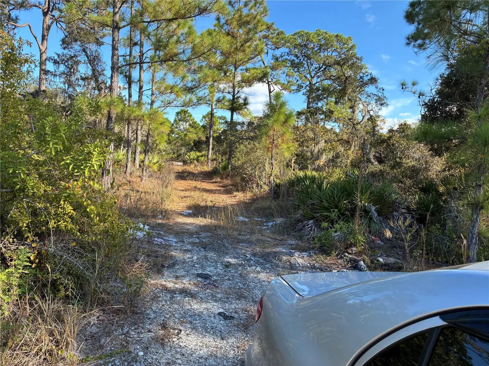 321 Showboat Avenue Lake Placid FL 33852