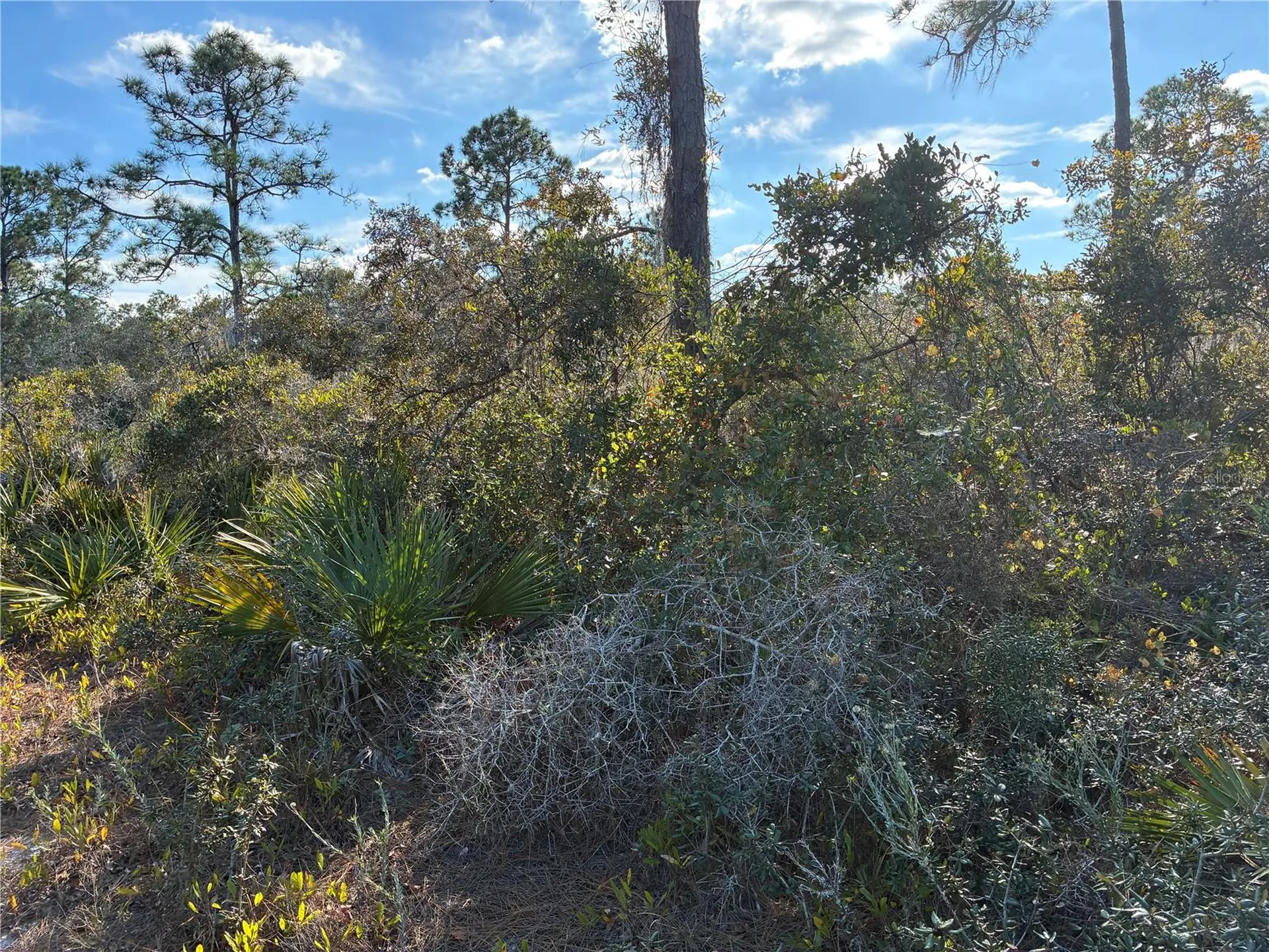 321 Showboat Avenue Lake Placid FL 33852