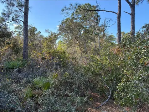321 Showboat Avenue Lake Placid FL 33852