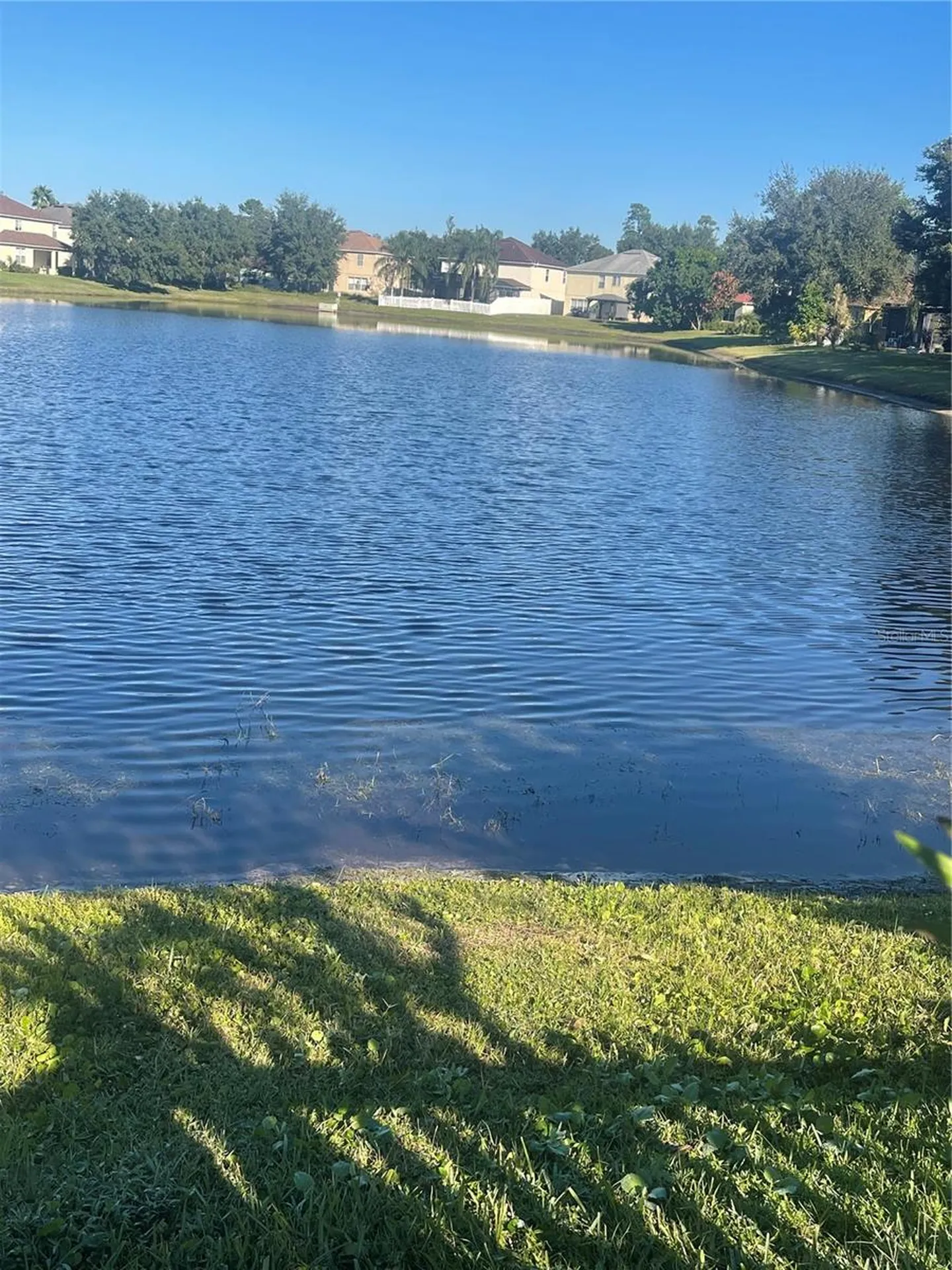 14869 Myakka Crown Drive Orlando FL 32828