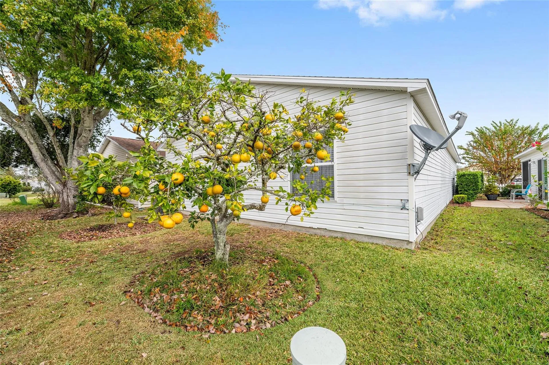 1612 Campos Drive The Villages FL 32162