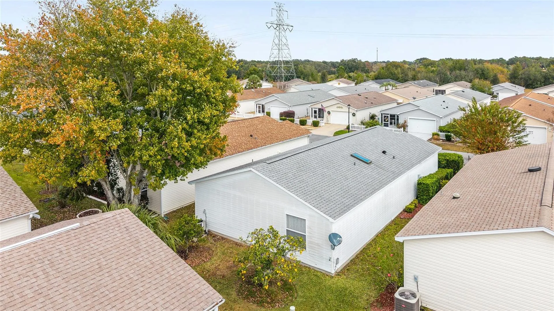 1612 Campos Drive The Villages FL 32162