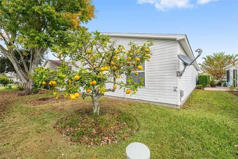 1612 Campos Drive The Villages FL 32162