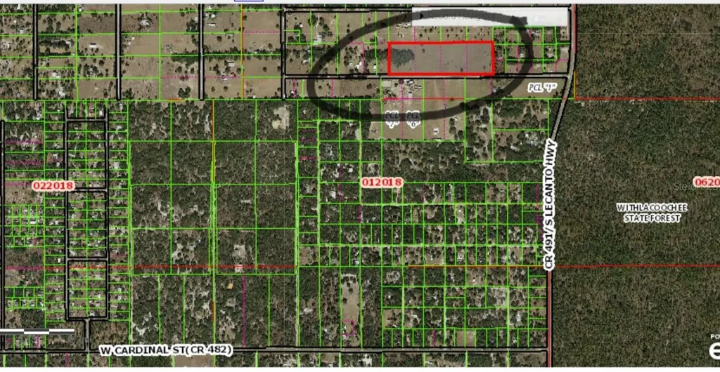 1545 W Sunturf Street Lecanto FL 34461