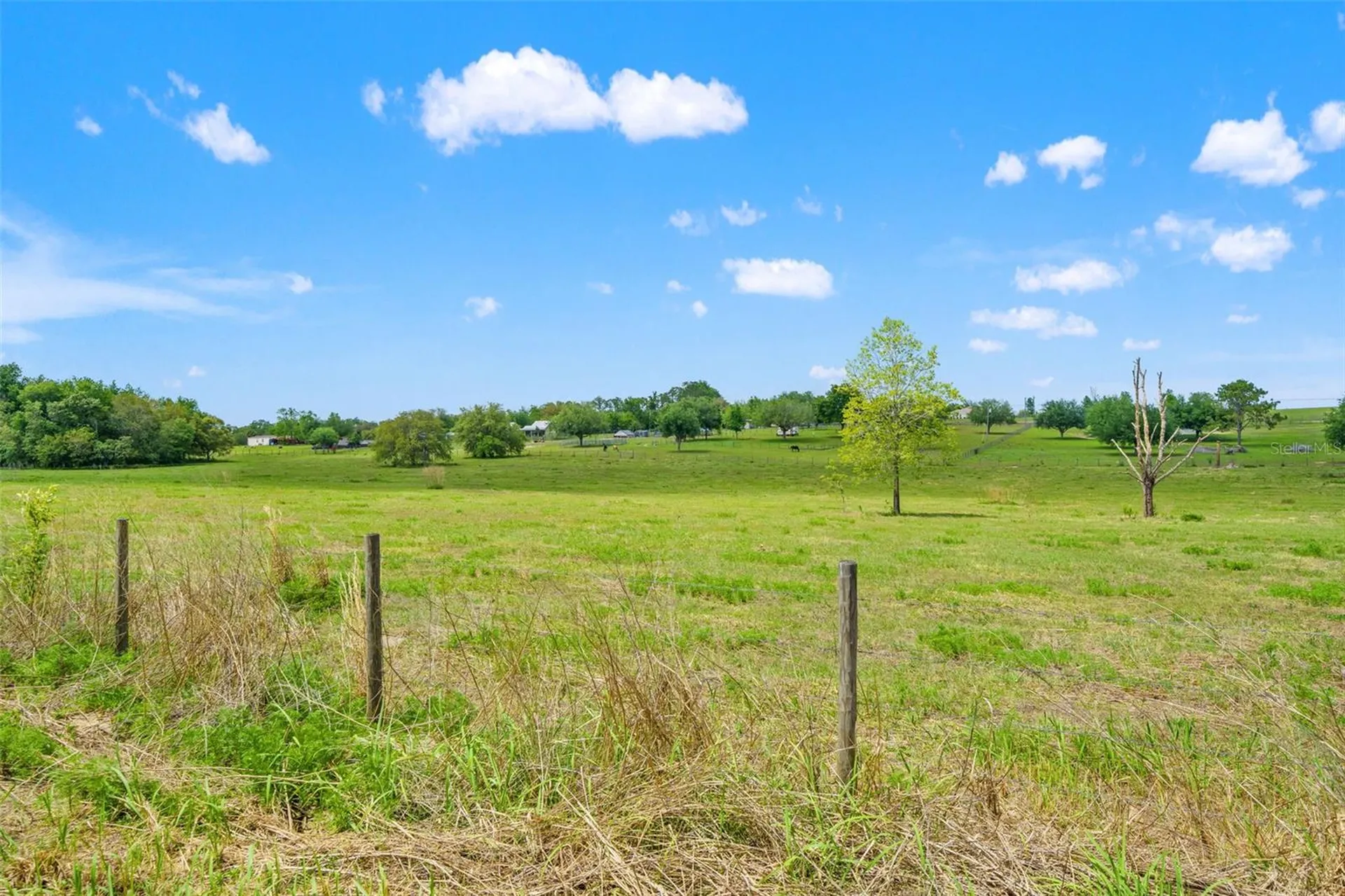 1545 W Sunturf Street Lecanto FL 34461