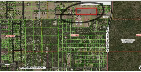 1545 W Sunturf Street Lecanto FL 34461